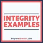 Integrity Examples 的图像结果