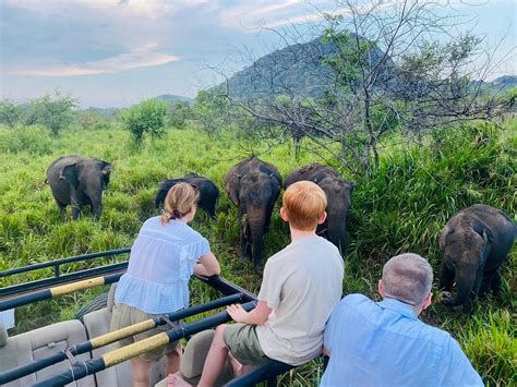 BUDDIKA (2026) All You Need to Know BEFORE You Go (with Photos ...