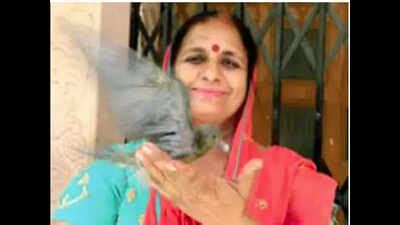 Kamlesh Chaudhary: For this woman, loving animals and birds is a ...