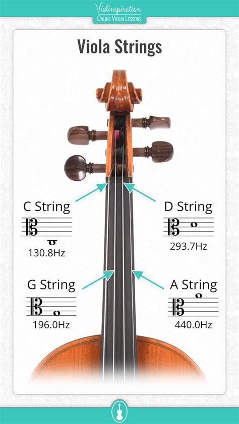 Image result for String Instruments Viola Violin