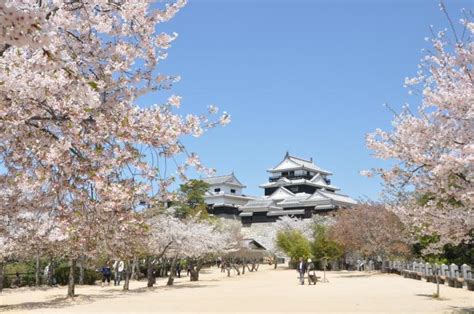 松山 城 に対する画像結果