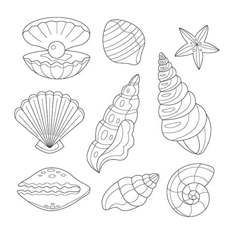 Shell clip art Images - Free Download on Freepik