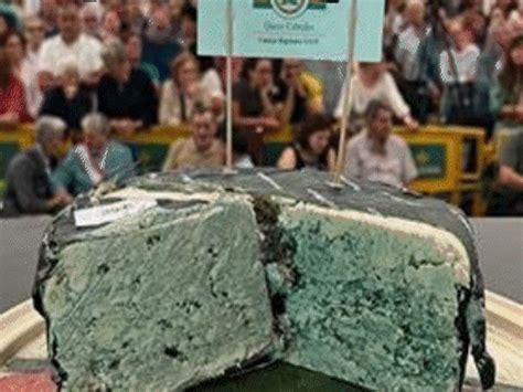 World’s costliest cheese sold for ₹36 lakh in Spain
