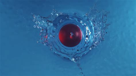 Image result for RealFlow Splash