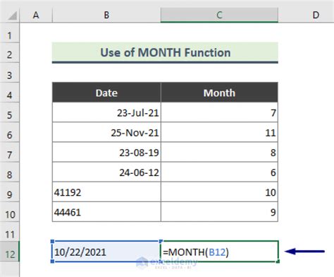 Image result for Excel Month Input Function