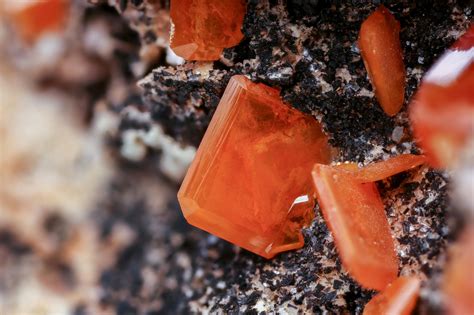 Image result for Como Descargar Geode En iOS