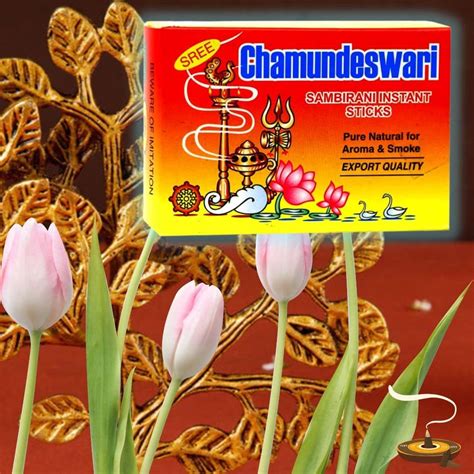Chamundeswari Sambirani Instant Dhoop Sticks (Pack of 6 of 24 Sticks ...
