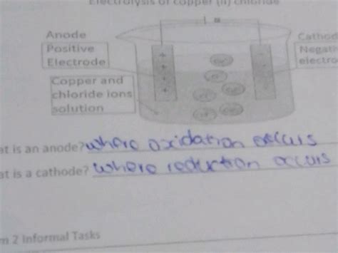 Image result for Anode and Cathode Oxidation-Reduction