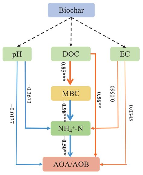 Hydrochar as a Potential Soil Conditioner for Mitigating H+ Production ...