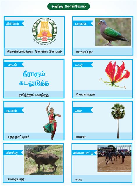 பனைமரச் சிறப்பு - பருவம் 1 இயல் 2 | 4 ஆம் வகுப்பு தமிழ் | Panai Mara ...