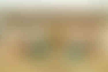 Travel to Phobjikha (Gangtey) Valley, Bhutan