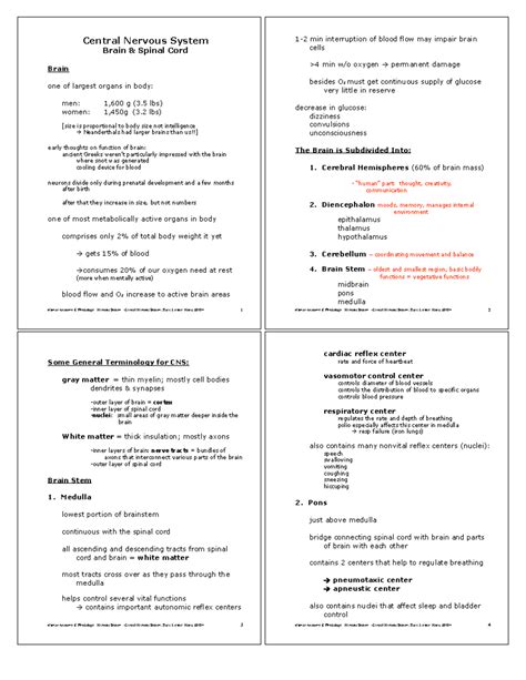 Central Nervous System - Human Anatomy & Physiology: Nervous System ...