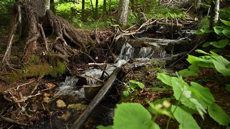 Image result for Mountian SpringSource