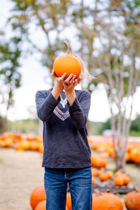 Top 5 Pumpkin Patches in Jacksonville, FL By A Family Photographer ...