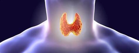 Best Endocrinologist in Chennai | Dr. Thalavai Sundarram