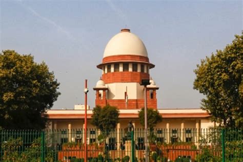 Two more cubs female cheetah Jwala died Kuno National Park | कूनो ...