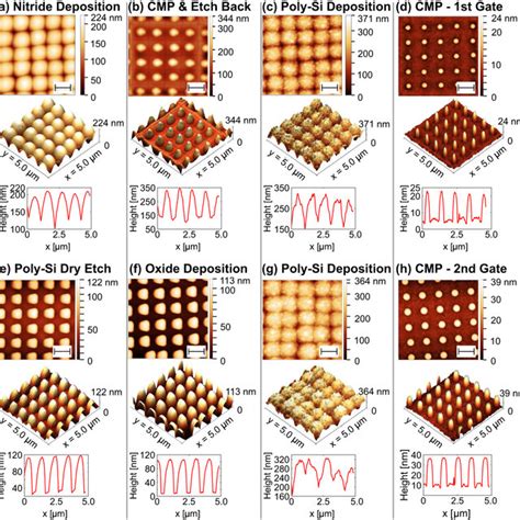 Image result for AFM Explained Microscope