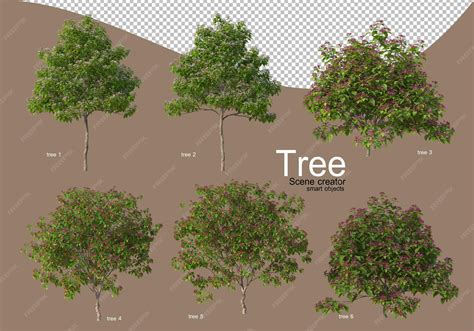 Premium PSD | Various types of trees for beautiful landscaping
