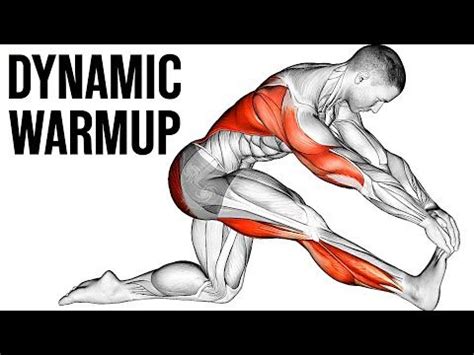Image result for Dynamic Core Stretch