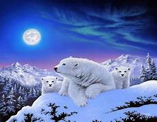 Polar Background by Polar Bears Hd Wallpaper Background Image 1920x1500 Polar Background