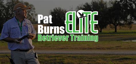 Image result for Training Retrieving Dogs