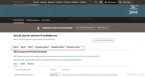 Java Programming Language Download 的图像结果