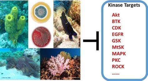 A Systematic Review of Recently Reported Marine Derived Natural Product ...