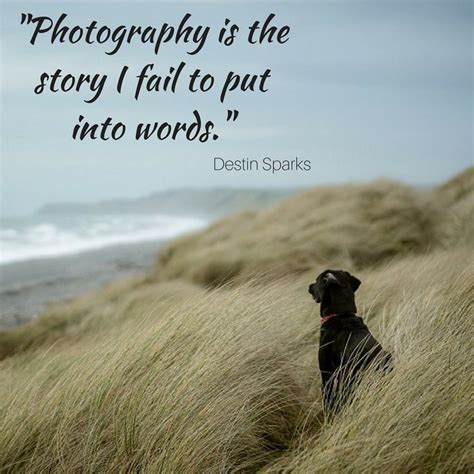 photography art quote