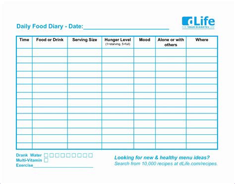 41+ Free Microsoft Excel Food Diary Template Csv