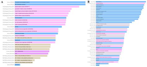 A Comparative Analysis of the Roles of von Willebrand Factor and ...