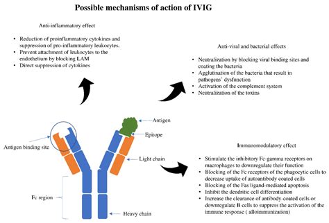 Intravenous Immune Globulin Uses in the Fetus and Neonate: A Review