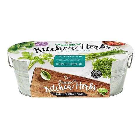 Buzzy Kitchen Herbs Windowsill Grow Kit - Fragrant Herb Gardening Kit ...