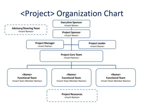 Image result for Project Management Organization Chart