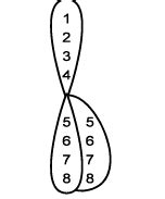 Mutation - Biology, Class 12 PDF Download