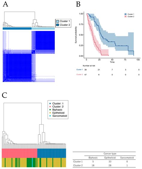 CHST4 Gene as a Potential Predictor of Clinical Outcome in Malignant ...