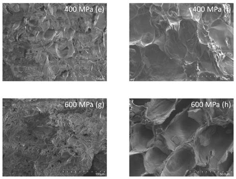 High-Pressure Pasteurization of Soy Okara
