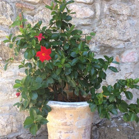 Villia Tourism (2023): Best of Villia, Greece - Tripadvisor