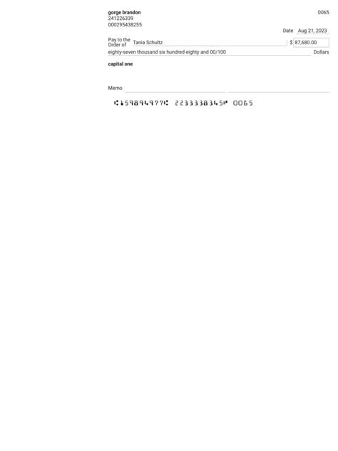 Check Writer 的图像结果
