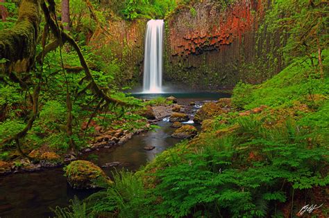 C185 Abiqua Falls, Cascade Mountains, Oregon | Randall J Hodges Photography
