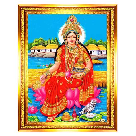 Pavan Photo Laminations Goddess Lakshmi Devi Laxmi Bhumi Mata Owl Wall ...