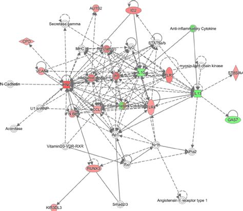 Image result for Cellular Development