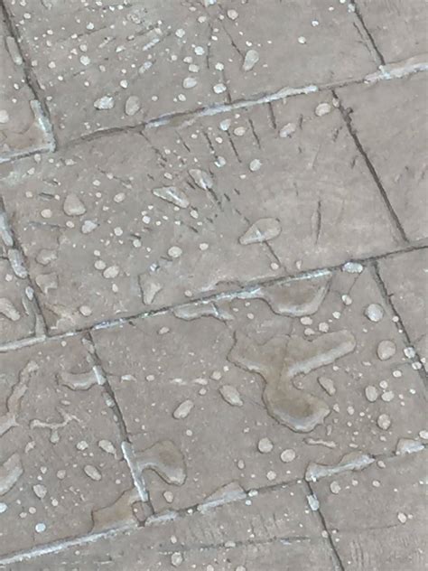 Cement Floor Sealer Basement