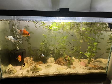 How Big Is A 30 Gallon Tank In Cm at Frank Jimenez blog