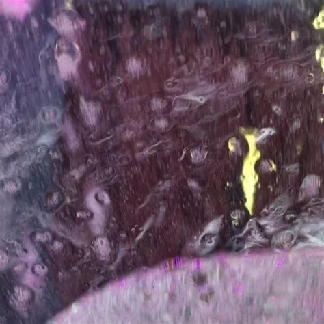 HOME | Mr. C's Car Wash