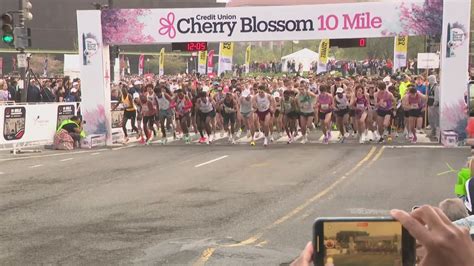 Cherry Blossom 10-Miler inspires runners through signs across DC ...