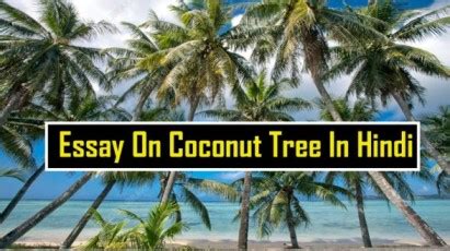 नारियल के पेड़ पर निबंध | Essay On Coconut Tree In Hindi