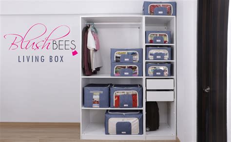 BlushBees Living Box - 600D Oxford Fabric Large Storage Boxes for ...
