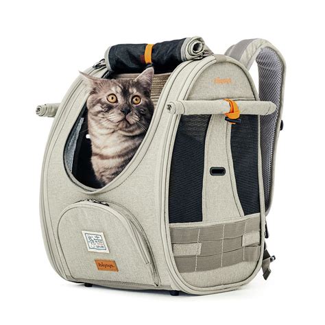 Cat Carriers and Cages – MyPetPoint
