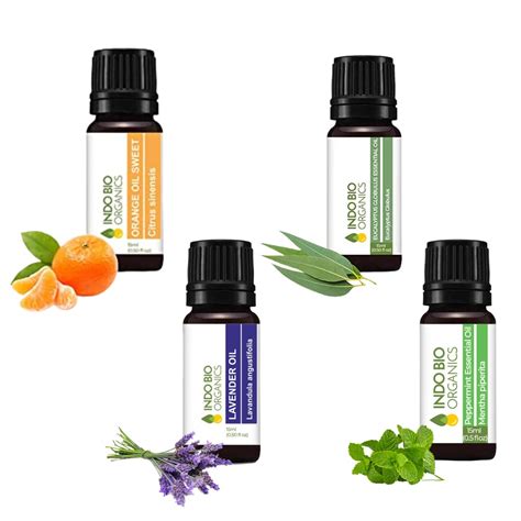 INDO BIO ORGANICS Eucalyptus Essential Oil,15ml Nilgiri Oil For Hair ...