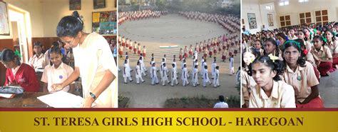 The Society of the Sacred Heart - Indian Province » Homepage Comments Feed